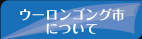SAKAI CIC �E�[�����S���O�s
